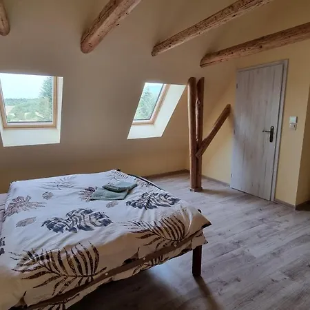 Sebastian Przybylina