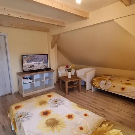 Sebastian 프리빌리나